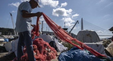 Hamsi bolluğu yaşanacak