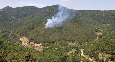 Hatay'da yangın 