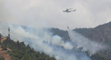Hatay yangını kontrol altına alındı