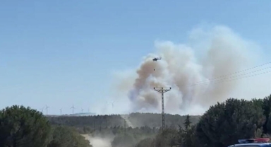 İstanbul'da orman yangını
