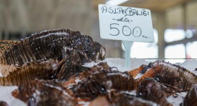 İstilacı aslan balığının çözümü avlayıp tüketmek