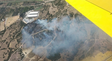 İzmir’de orman yangını