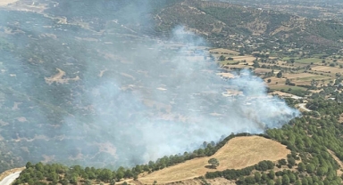 İzmir'de orman yangını