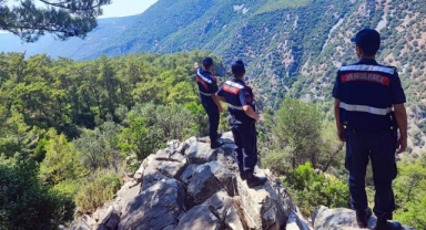 Jandarma, titiz çalışmasıyla ormanı yakan zanlıyı buldu