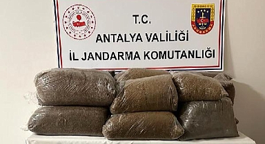 Jandarmadan 'kaçak tütün' operasyonu