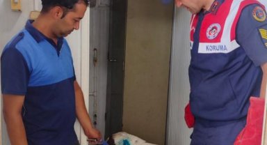 Jandarmanın bulduğu yaralı köpek tedaviye alındı