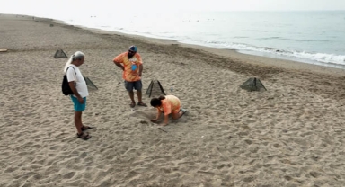 Kafesleme yuvalar 2 bin 551'e ulaştı