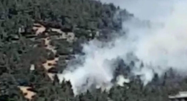 Kahramanmaraş'ta orman yangını