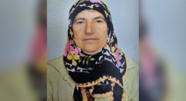  Kamyonetin çarptığı kadın öldü