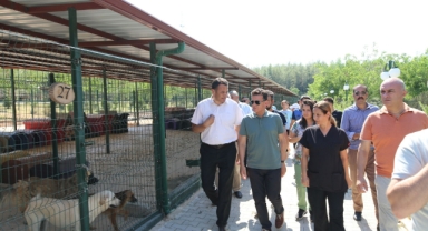 Kaş’a hayvan bakımevi ve rehabilitasyon merkezi