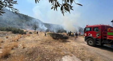 Kaş'ta çıkan yangın söndürüldü