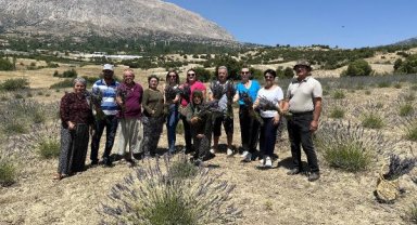 Kaş'ta lavanta hasadı yüzleri güldürdü
