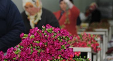 Kesme çiçekte ihracat fazla kazanç az