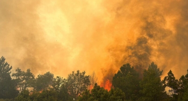 Kütahya’da orman yangını