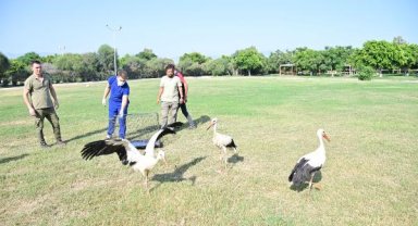Plastik atıklar tehdit ediyor