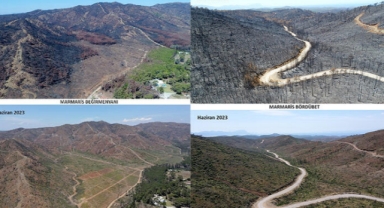 Marmaris 1 yılda yeşile döndü