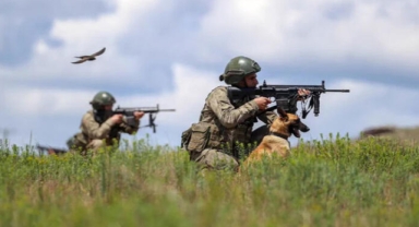 MSB duyurdu: Sınırlarda 9 terörist yakalandı