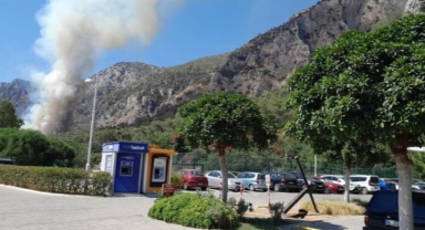 Muğla'da orman yangını