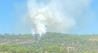 Muğla'da orman yangını