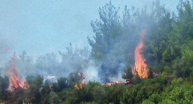 Muğla'da orman yangını başladı