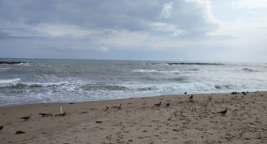 O ilde denize girmek yasaklandı!