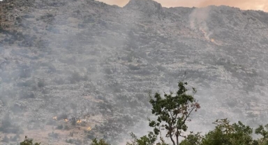 Orman yangını 24 saatte söndürüldü