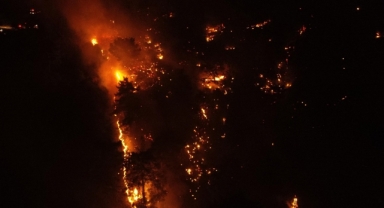 Orman yangınlarının yüzde 48'i ihmal, dikkatsizlik ve kaza sonucu çıktı