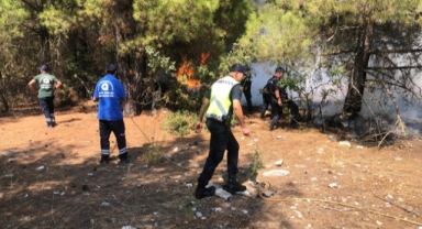 Ormanlık alanda çıkan yangın söndürüldü