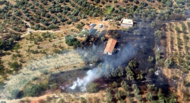 Tarım arazisinde yangın
