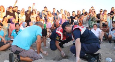 Tatilde yüzlerce kişi caretta caretta izliyor