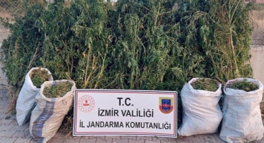 Uyuşturucu operasyonlarında 30 gözaltı