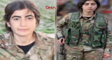 'Vejin Jiyan'  etkisiz hale getirildi