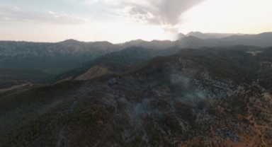 Yanan ormanın dron görüntüsü 