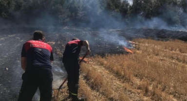 Yangında dönümlerce arazi zarar gördü