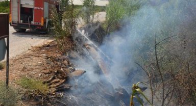 Yeşilyurt'ta ağaçlar yandı