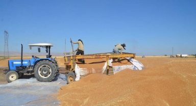 Yüksek rekolte çiftçileri sevindirdi