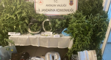 Zehir tacirlerine darbe