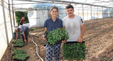 130 milyon fidan toprakla buluştu