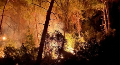 3 gün arayla 2'nci orman yangını