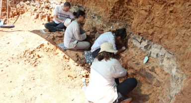 9 milyon yıllık hayvan fosilleri bulundu