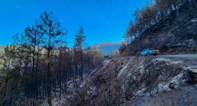 Alanya'daki orman yangınında 2'nci gün  