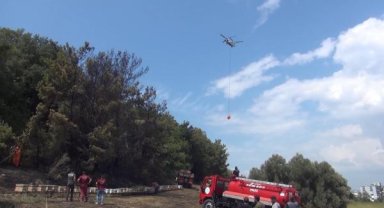 Arazi yangınında çok sayıda arı yok oldu