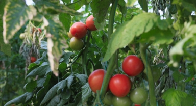 ATB hal endeksini açıkladı