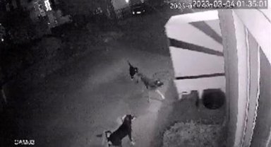 Baba- oğlun korkulu rüyası oldu