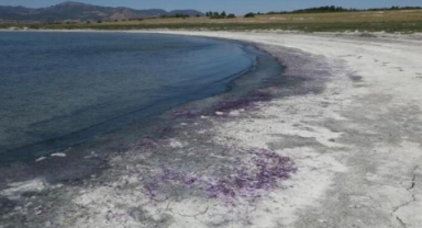 Burdur Gölü sahili morardı