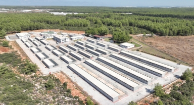 Can dostlar yeni yuvalarında mutlu