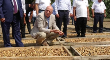 'Dünyada en fazla incir ihracatı yapan ülke konumundayız'