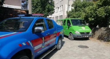 Evinin bahçesinde ölü bulundu