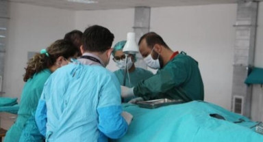 Gönüllü 'kadavra' aranıyor