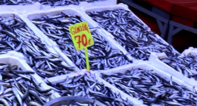 Hamsi bollaştı; fiyatı 50 TL'ye düştü